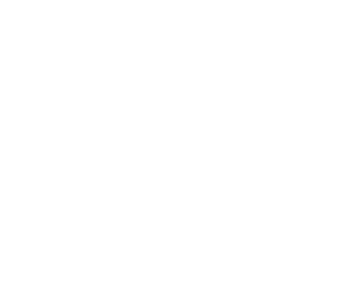心道法師墨寶