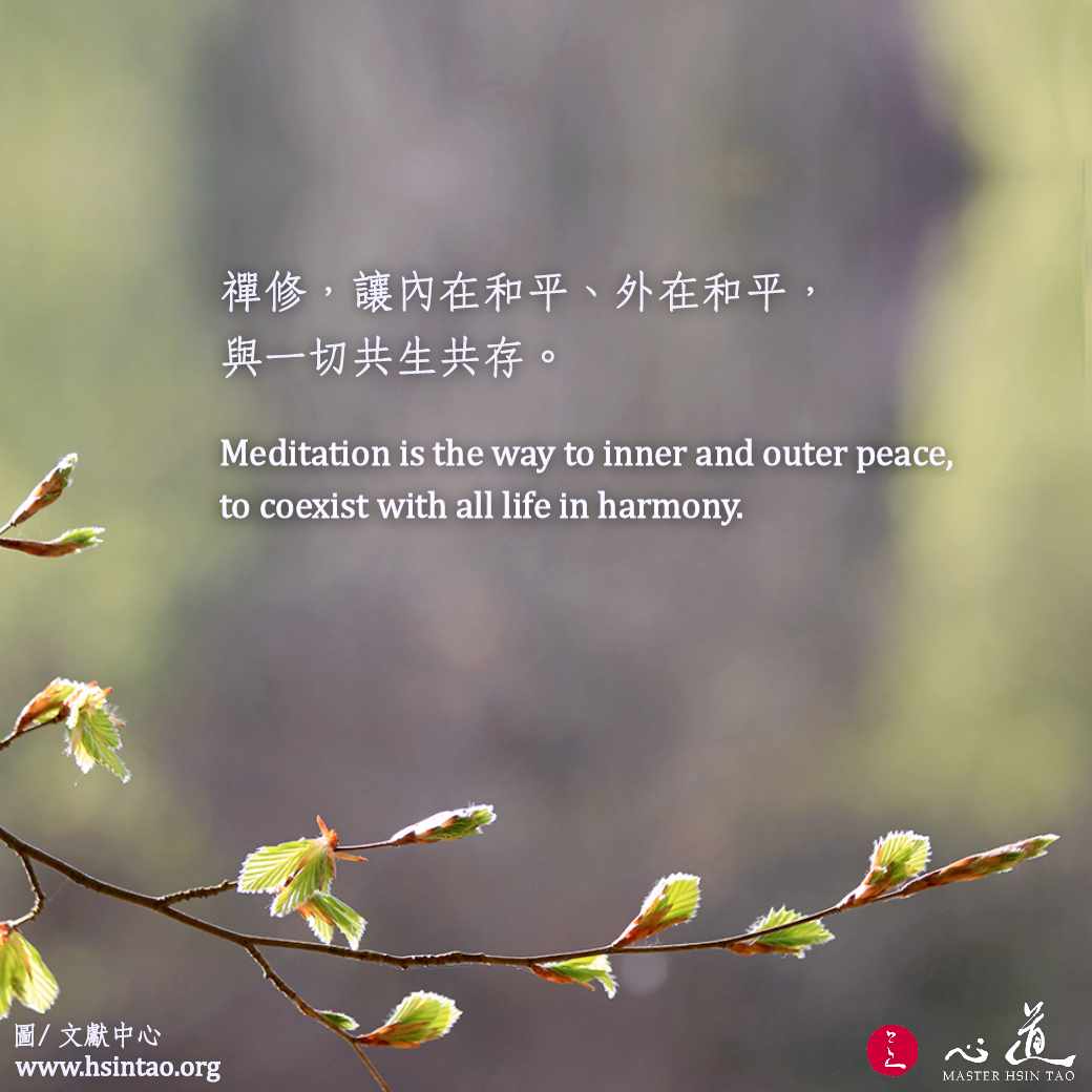 禪修，與一起共生共存 Meditation - The way to peaceful coexistence